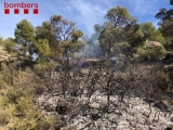 A l'Albagés, el foc va afectar al sotabosc i pi blanc a la vall de la Sisquella (foto: Bombers).