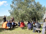Una jornada sobre la poda de l'olivera (foto: xarxa d'agroecologia).